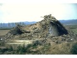 Philadelphia - local house after an earthquake